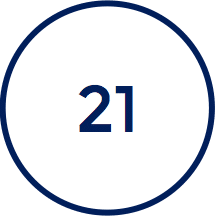 21 Number Icon
