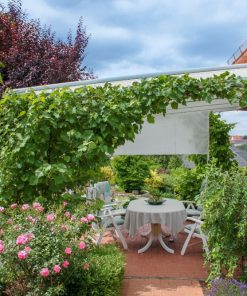 Markilux 770 780 Conservatory Awning