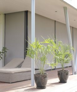 Markilux 620 Vertical Awning